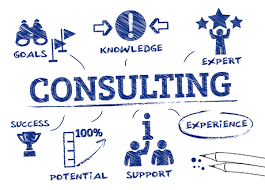 Consulting Block (10 Hours)